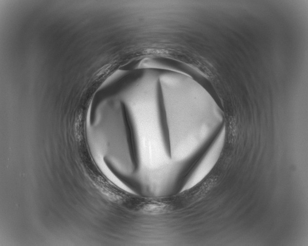 X0000080750364200701051216