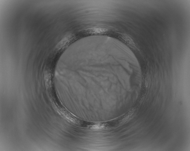 X0000080750366200701051216