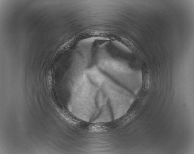X0000080750372200701051216