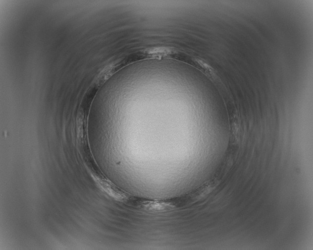 X0000080750379200701051216