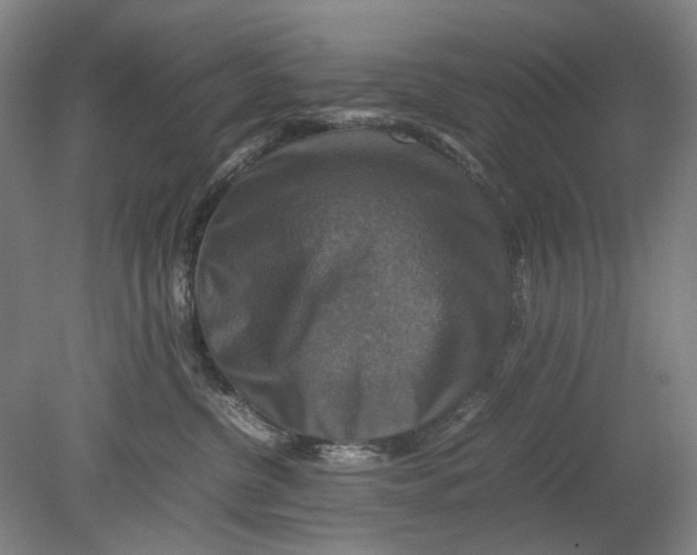 X0000080750380200701051216