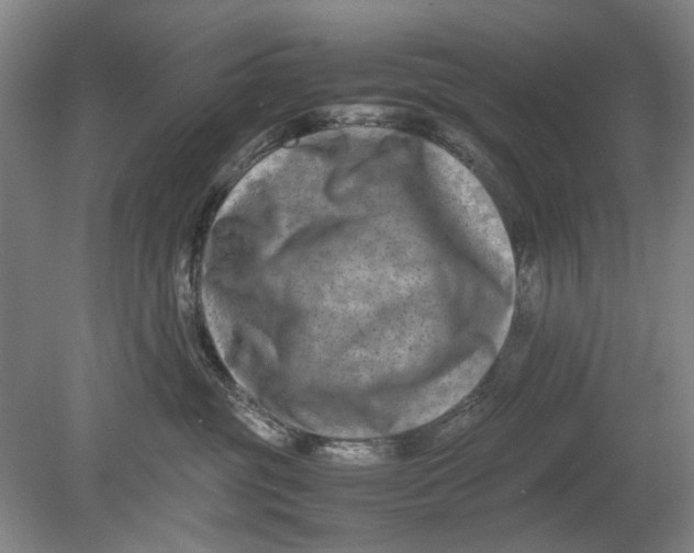 X0000080750381200701051217