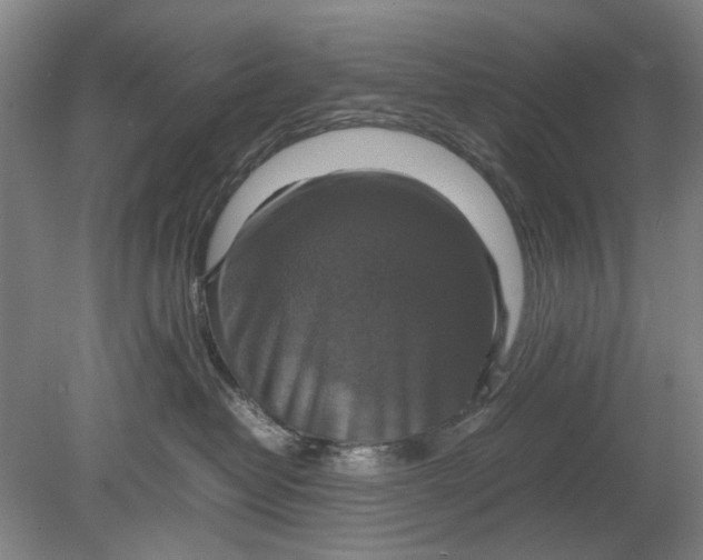 X0000080750382200701051217