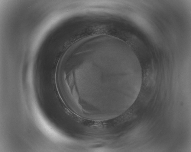 X0000080750383200701051217