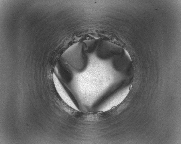 X0000080750384200701051217