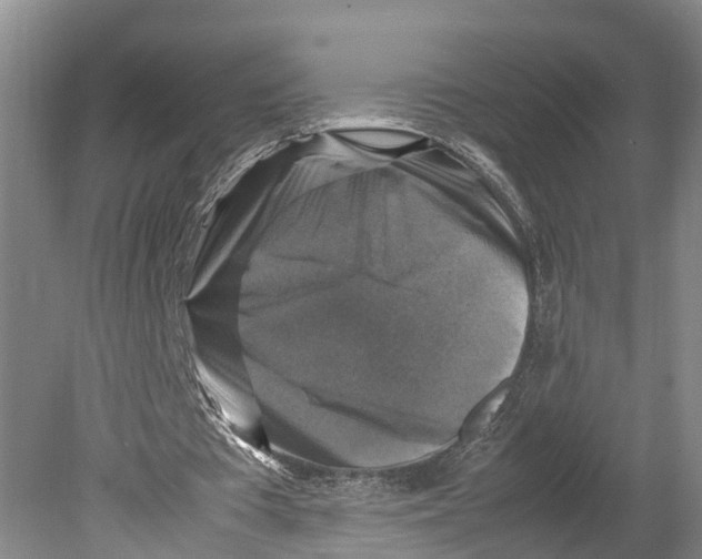 X0000080750385200701051216