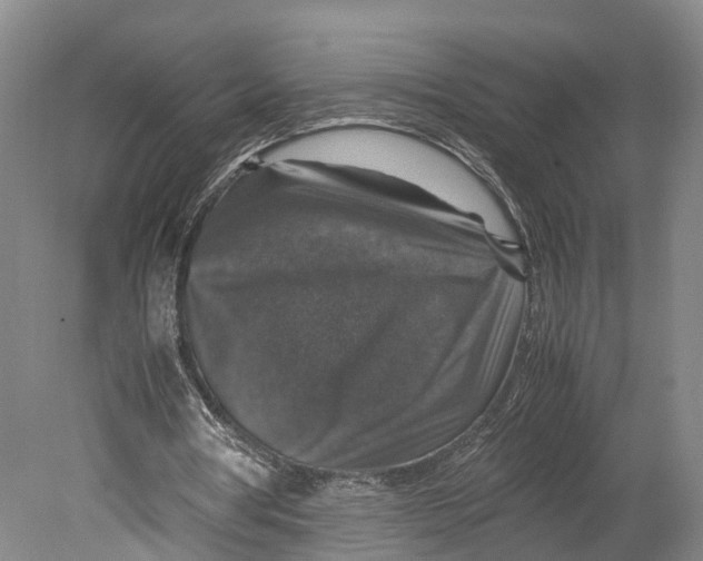 X0000080750386200701051216