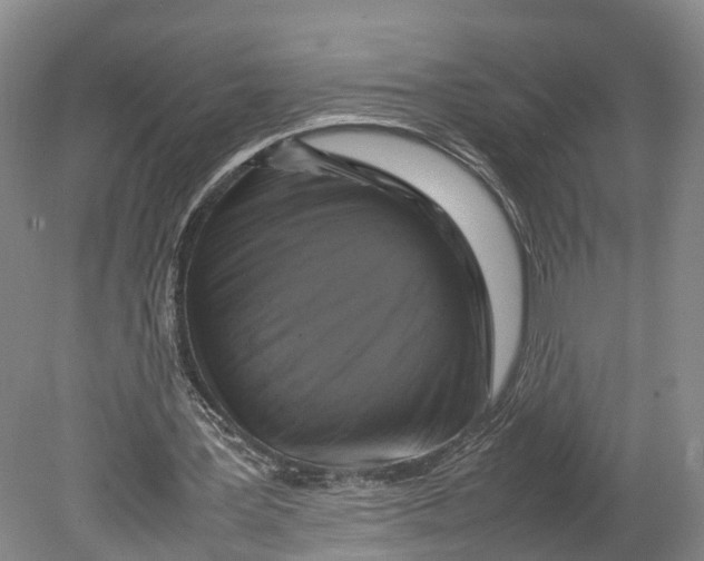 X0000080750387200701051216