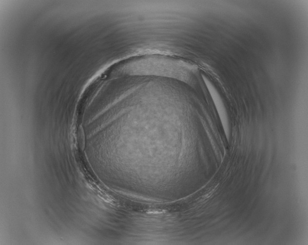 X0000080750388200701051216