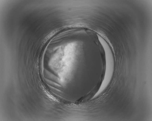 X0000080750389200701051216