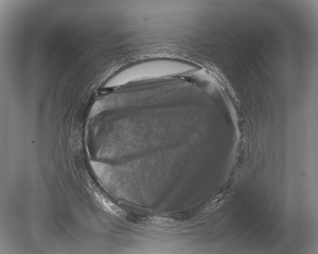 X0000080750393200701051216