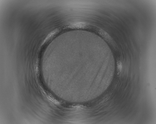 X0000080750396200701051216