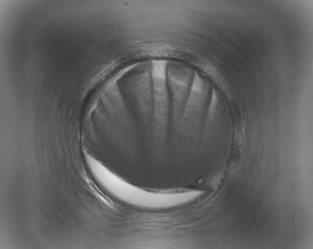X0000080750397200701051216