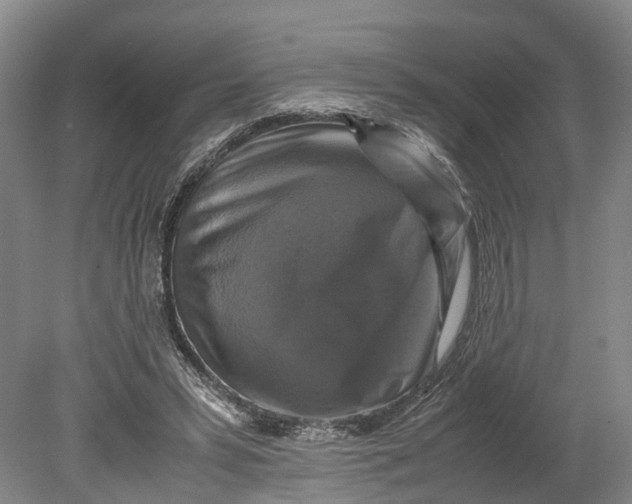 X0000080750399200701051216
