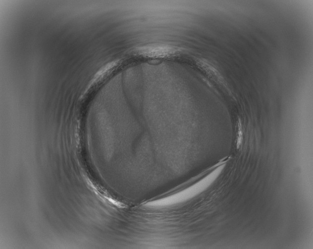 X0000080750400200701051216