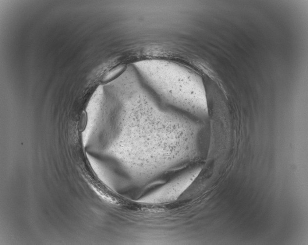 X0000080750401200701051215