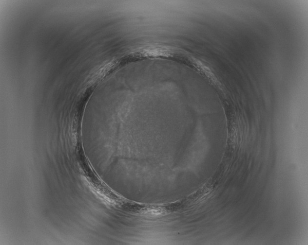 X0000080750402200701051215