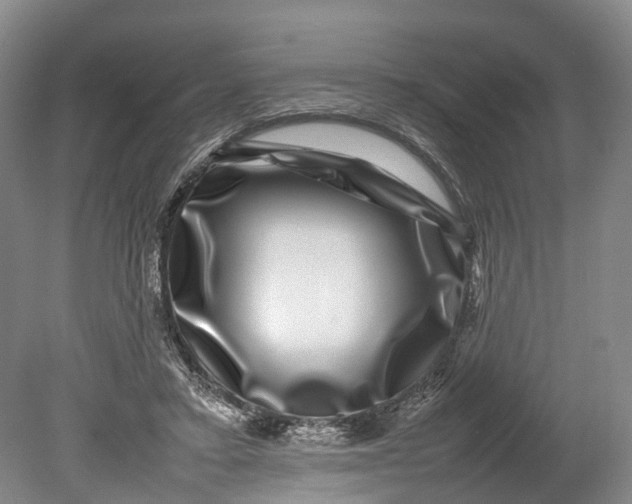 X0000080750403200701051215