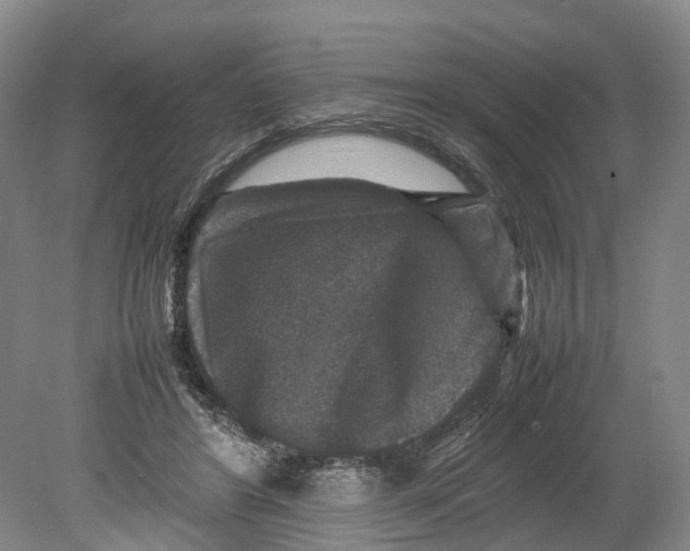 X0000080750404200701051215
