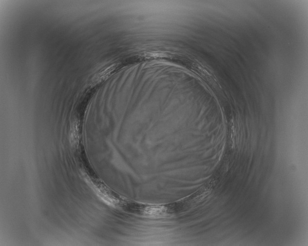 X0000080750410200701051215