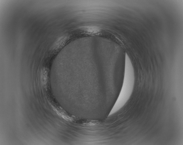 X0000080750412200701051215