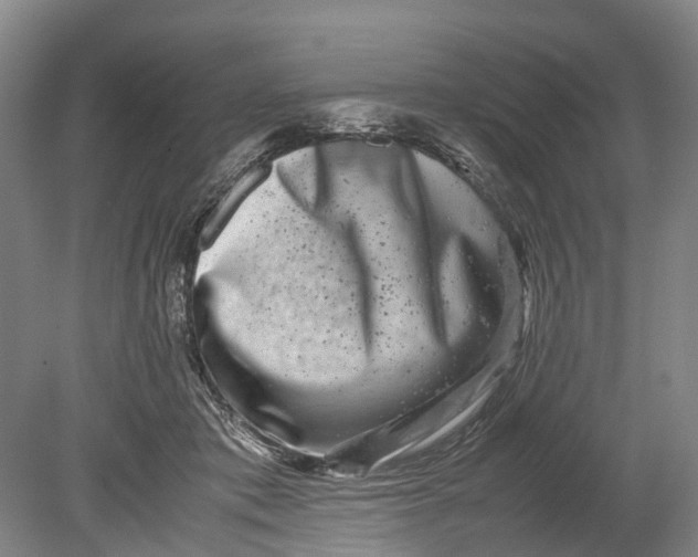 X0000080750413200701051215