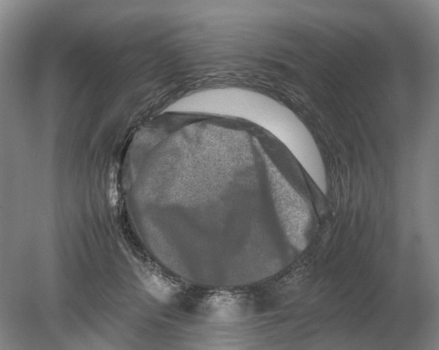 X0000080750416200701051215
