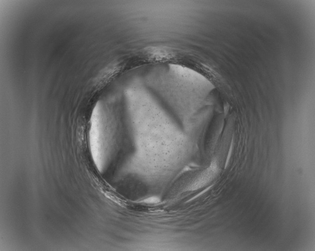 X0000080750417200701051215