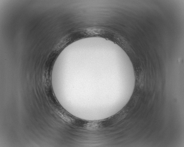 X0000080750418200701051215