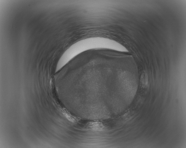 X0000080750424200701051215