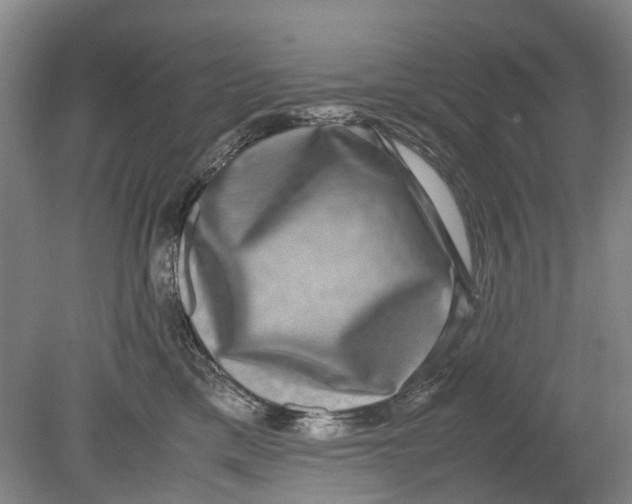 X0000080750425200701051215