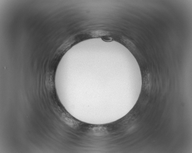 X0000080750426200701051215