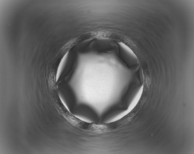 X0000080750429200701051215