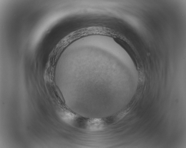 X0000080750431200701051215