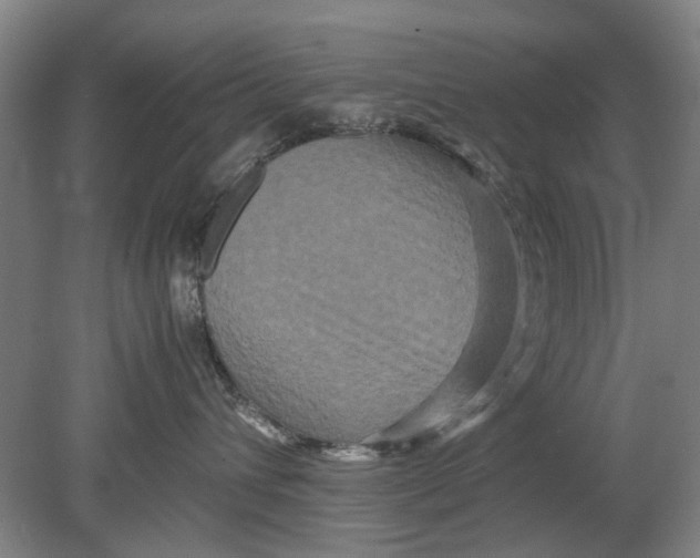 X0000080750432200701051215