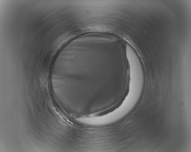X0000080750434200701051214