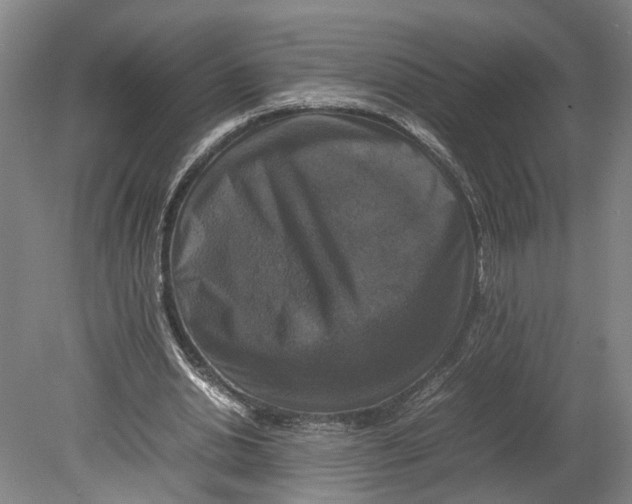 X0000080750438200701051214