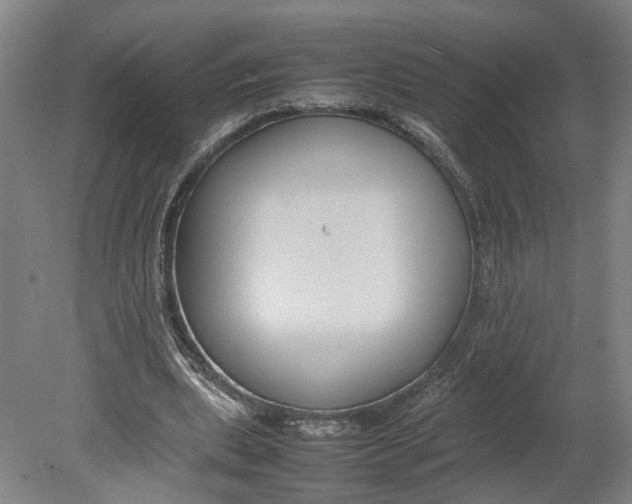 X0000080750439200701051214