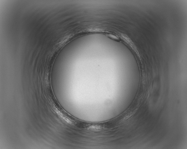X0000080750441200701051214