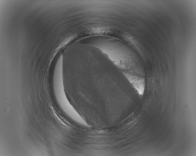 X0000080750443200701051214
