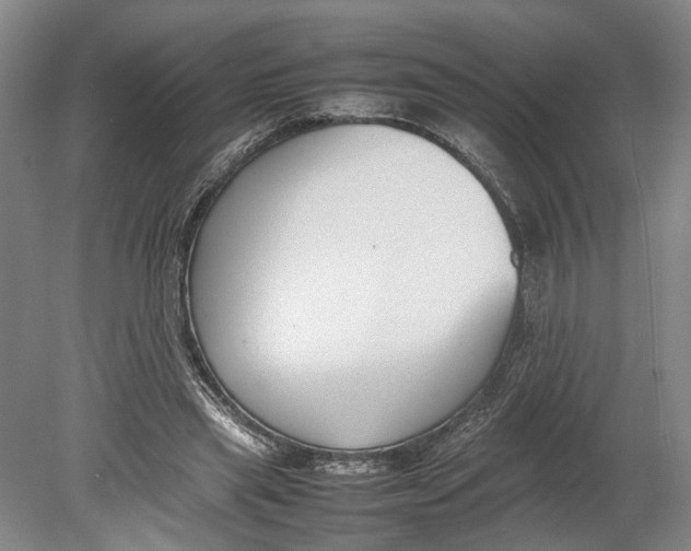 X0000080750445200701051214
