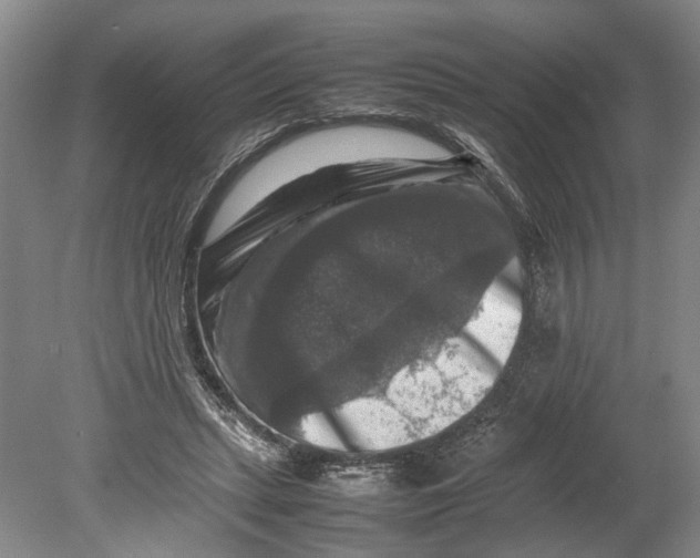 X0000080750447200701051214