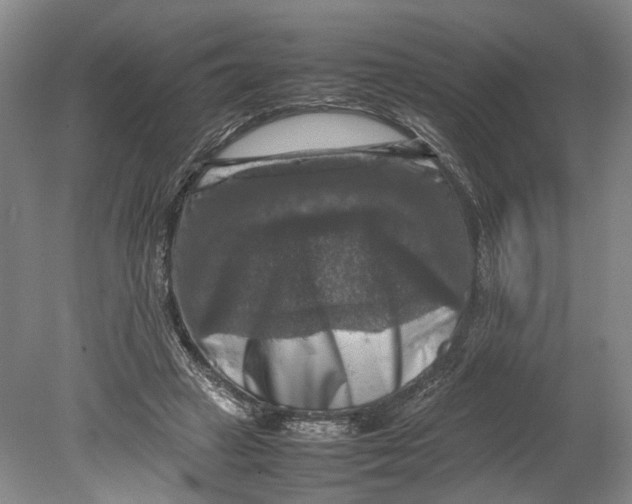 X0000080750449200701051214