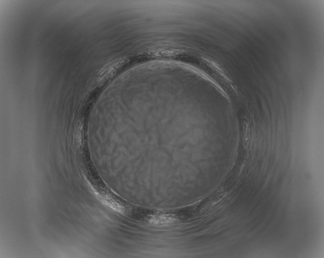 X0000080750451200701051214