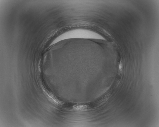 X0000080750452200701051214