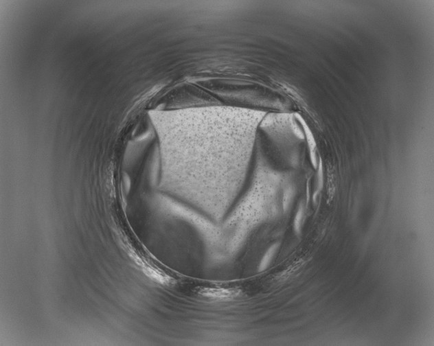 X0000080750453200701051214