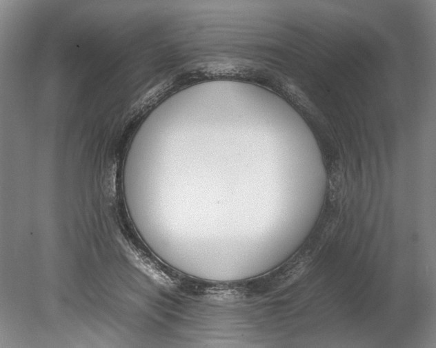 X0000080750454200701051215