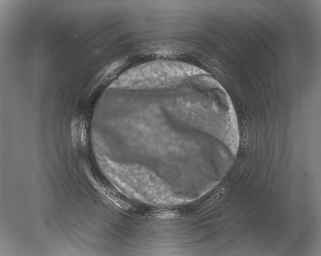 X0000080750456200701051215