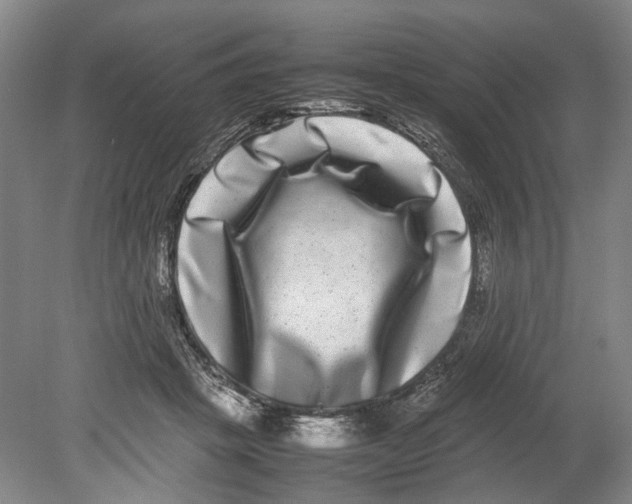 X0000080750457200701051215