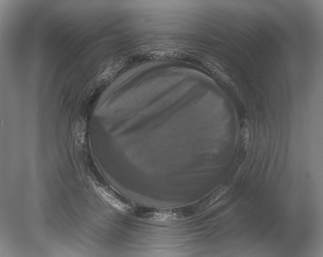 X0000080750458200701051215